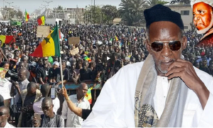 Kaolack : une marée humain accueille le Khalife, Cheikh Mahy Niass