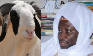 Tabaski 2022 : Cheikh Mahy Cissé distribue 400 moutons aux nécessiteux