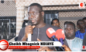 Législatives à Ndoffane : Cheikh Ndiaye étale sa force politique et rassure Macky Sall