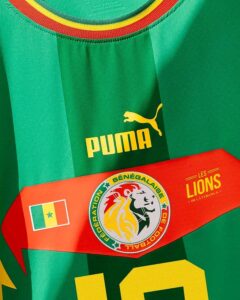 Coupe du monde 2022 : découvrez les nouveaux maillots extérieur de l'équipe nationale du Sénégal