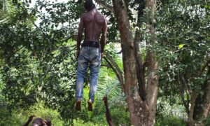Guinguinéo : un homme retrouvé mort dans un arbre