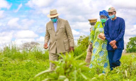 Campagne agricole : le ministre de l'agriculture et de l'équipement rural en visite à Kaolack ce vendredi