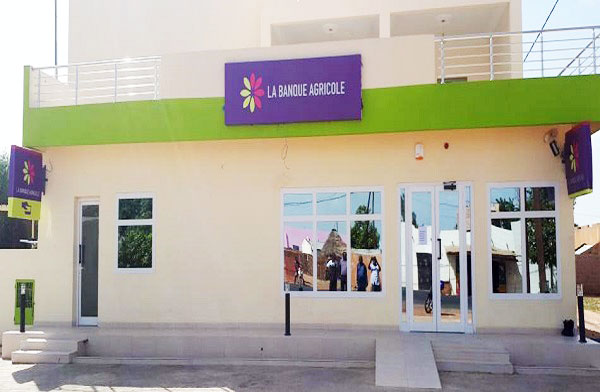 Banque Agricole du Sénégal : le responsable des projets de l’état détournait chaque vendredi 10 millions