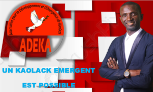 Boustane : lancement du mouvement ADEKA, le président El Hadji Alassane Wade promet de la merveille à la population Kaolackoise
