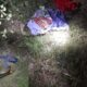 Horreur à Kaolack : le corps d’une adolescente retrouvé dans la brousse à Diomkhel