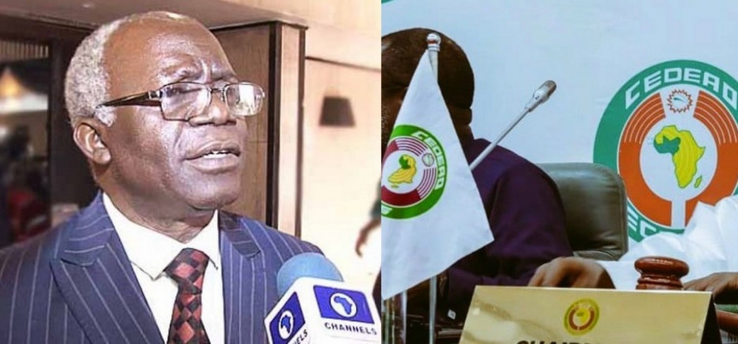 Report de la Présidentielle : l'avocat nigérian Falana réclame des sanctions de la Cedeao contre Macky Sall
