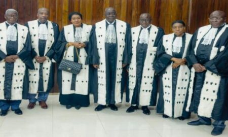 Juges du Conseil constitutionnel