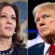 kamala harris - Donald trump