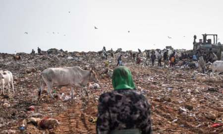 Délocalisation de Mbeubeuss : un défi coûteux à 99,3 millions $ pour le projet Promoged