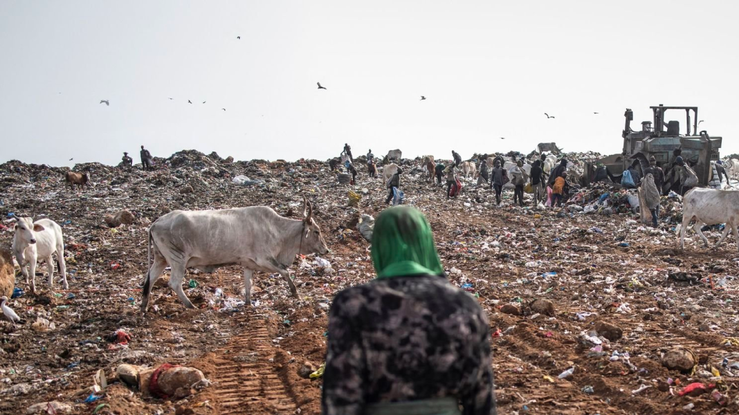 Délocalisation de Mbeubeuss : un défi coûteux à 99,3 millions $ pour le projet Promoged