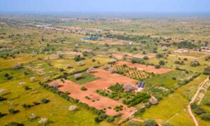 Agropole Nord Sénégal