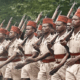 tirailleur sénégalais
