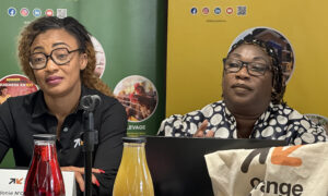 Sidonie N'GUESSAN (Orange Money Europe) - Oumy SALL NDIAYE (CEO Diaar Yéémou Invest)