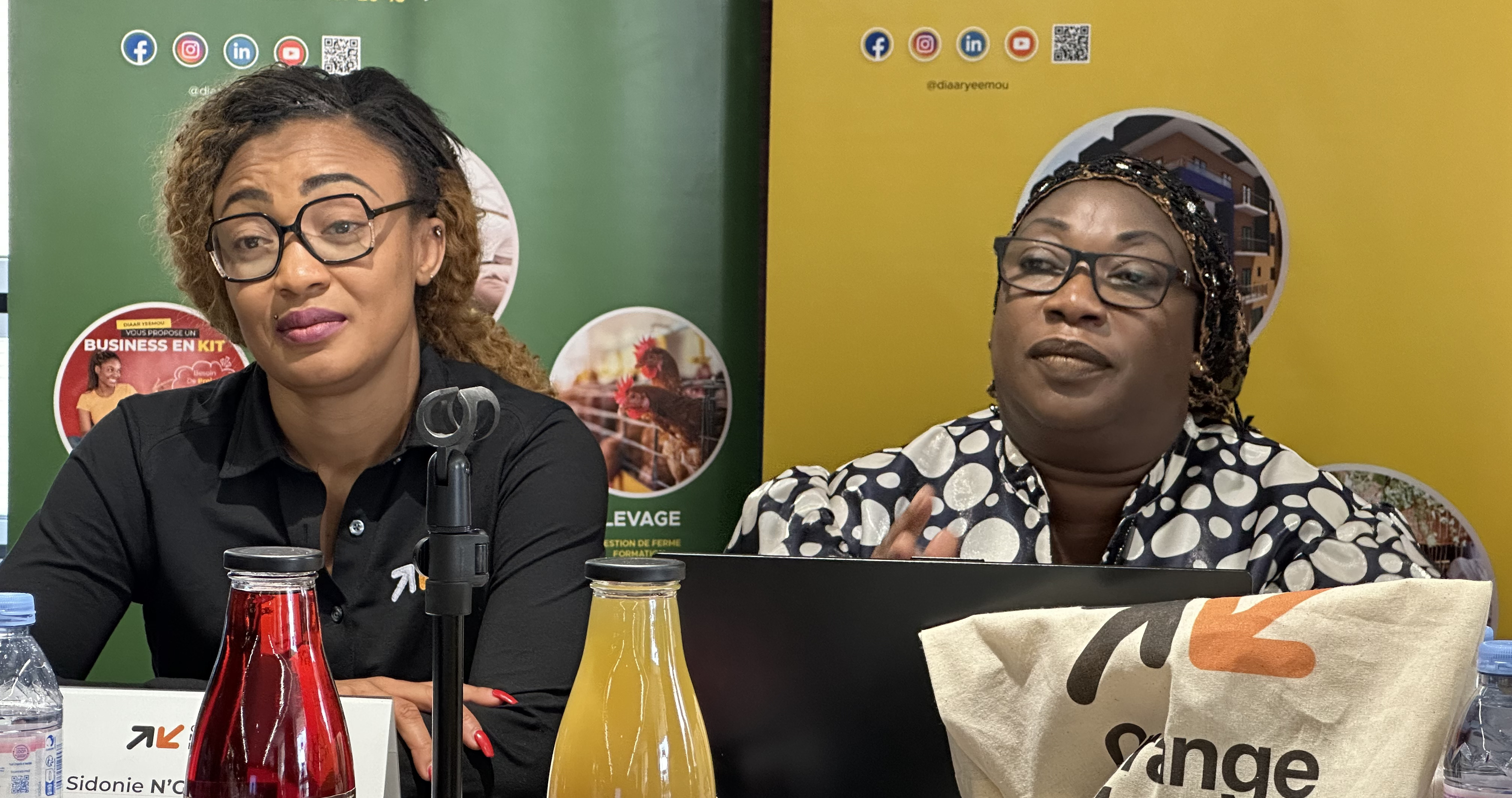 Sidonie N'GUESSAN (Orange Money Europe) - Oumy SALL NDIAYE (CEO Diaar Yéémou Invest)
