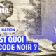 Enfin ! Esclavage : l’abolition du «Code noir» votée à l’unanimité en commission à l’Assemblée nationale